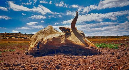 Drought and domestic violence: Fallout from a changing climate