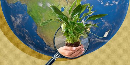 Maverick Earth — a new era for environmental journalism