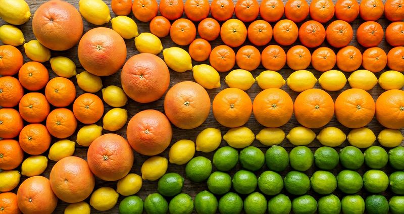 SA citrus sector delivers juicy economic boost, overtaking Spain as world’s leading exporter