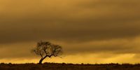 Cold Front Rolling. Photographer: Amanda van Blerk