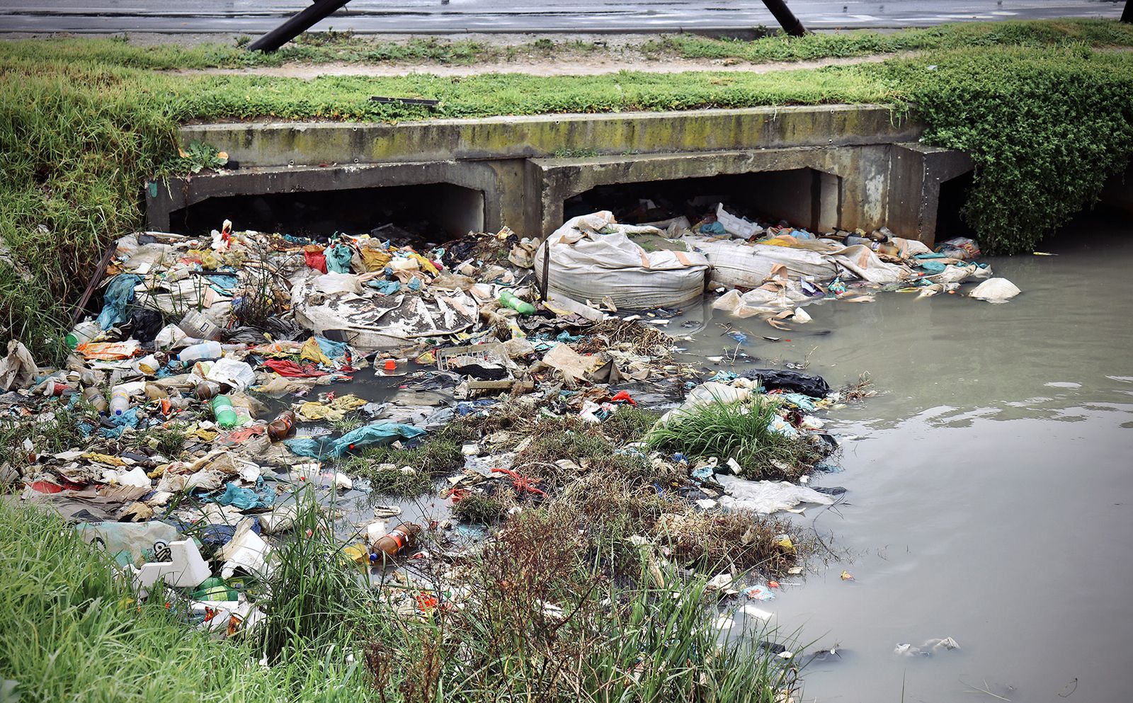 Local litter traps make a splash against pollution in SA