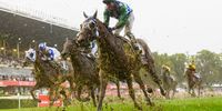 MELBOURNE, AUSTRALIA - MARCH 13: John Allen riding<br> Fifty Stars unplaced in Race 8, the All-star Mile, during Melbourne Racing All-Star Mile Day at Moonee Valley Racecourse on March 13, 2021 in Melbourne, Australia. (Photo by Vince Caligiuri/Getty Images)