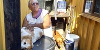 Sheila Sidras goes out of her way to make sure that dogs in the Flamingo Heights informal settlements in Lansdowne, Cape Town, are taken care off.<br>(Photo: Vincent Cruywagen)