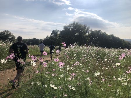 A users’ guide to some of the Parkruns of Gauteng