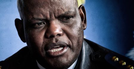 Former acting national police commissioner Khomotso Phahlane sacked