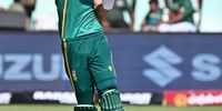 P47 JansenProteas