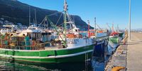 Kalk Bay harbour. Photographer: Krishin Poonsamy