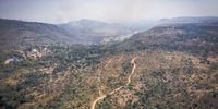 Non-protected forest areas in Guinea have been severely degraded by uncontrolled logging for both local and commercial uses, and by slash-and-burn cultivation. (Photo: Nathalie Bertrams) 