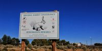 The Upper Karoo – home of the critically endangered riverine rabbit. Image: Chris Marais