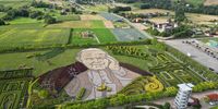 Portrait of Pope John Paul II made of flowers