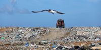 A tractors brings in more trash at the Vredenburg Landfill. Six-year-old Joslin Smith of Saldanha Bay has been missing since the 19th February. 05 March 2024. Photo: Shelley Christians Keywords: Dump, tip, land fill. Trash.