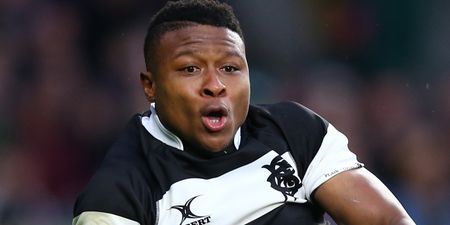 Bok Aphiwe Dyantyi fails to prove claim of unwittingly ingesting banned substance