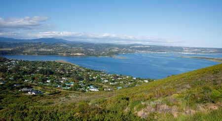 Boomslang or bust: After the fires, Knysna battles rampant mice and lingering alien vegetation