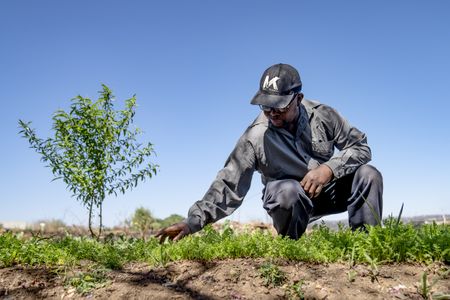 How to strengthen global food systems and Heritage Day at Constitution Hill