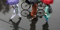 Indian commuters protect themselves with umbrellas as they walk during a continuous rain shower in Kolkata, Eastern India, 22 September 2023. The Bengal government issued an orange alert for 15 districts as a  tropical depression continued with heavy rainfalls in West Bengal.  EPA-EFE/PIYAL ADHIKARY