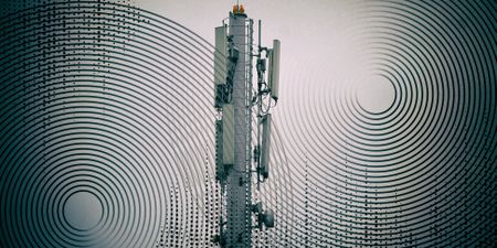 Six companies qualify to participate in Icasa’s upcoming auction of spectrum worth about R8bn