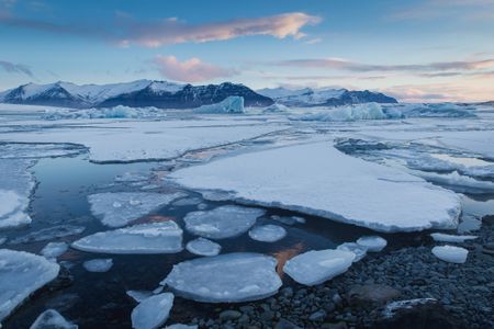 Phytoplankton in peril, global ocean productivity plummeting, CSIR-led study warns