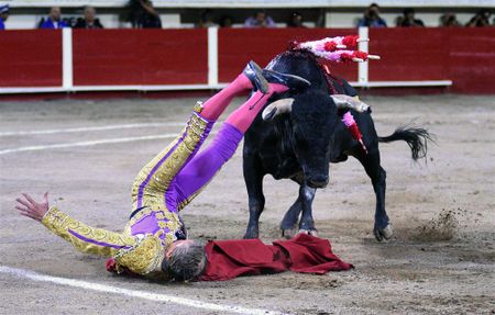 Bullfighting still practised in Mexico's Aguascalientes, and more from around the world