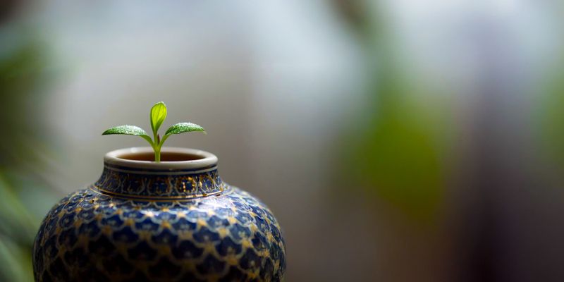 Shari’ah investing is ESG adjacent by design