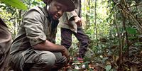 Jonathan Eban is one of 16 eco-guards working to protect gorilla habitat in the Mbe Mountains.<br>(Photo: Wild Africa Fund)