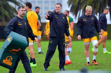 Watershed 2025 season looms for ageing Springbok stars as Rassie eyes the future