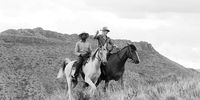 Graaff-Reinet, Eastern Cape: Pieter Salman Bantom and Julie Hobson ride the rangelands at Elandskloof farm north of Graaff-Reinet. The farm, branded as Karoo Ranching, was once a sheep farm but is now frequently used as a film set, a wedding venue, an unusual place for corporate workshops, and a destination for horseback cattle drives.<br>
