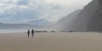 Misty morning, Southern Cape.