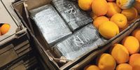 Drugs found in oranges from SA by the police in the UK. Photo: South West Regional Organised Crime Unit