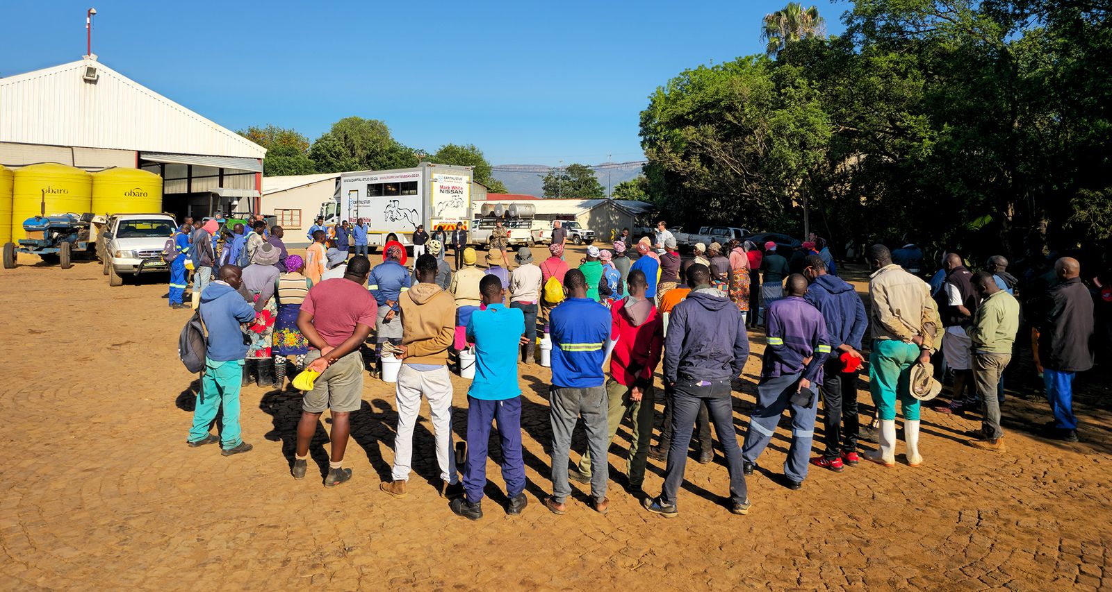 R462m ‘megafarm’ land reform project in disarray after government ...
