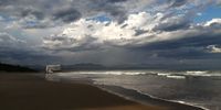 Robberg evening beach stroll, spot the seagull. Image: Marianne Giddy 