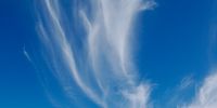 Sky feathers, near Wolseley. Image: Clive Algar<br>
