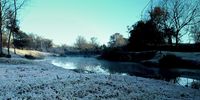 Recent frost in Randburg. Image: Barry Payne