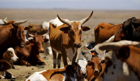 Analysis: Unstable climate make for unstable politics