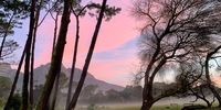 Pink, mist, cool/perfect: Keurboom Park<br>