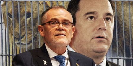 Steenhuisen’s lion bone gambit — firing the one minister who finally took on the wildlife trade
