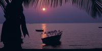 Roosting on the beach, Kigoma, Lake Tanganyika. Photographer: Peter Chubb