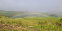 Two pots of gold in the hills above Wakkerstroom. Photographer: John Thomdon