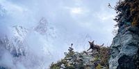 Escaping Paris for some trail running in Chamonix with my border terrier, Indiana Jone.
