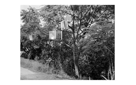 Unlocked: Poems for Critical Times (Series Two, Part Six)