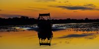 Returning home at sunset on the Okavango. Photographer: Neville Lance