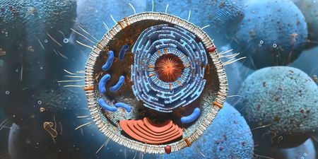 Human cells have become tradeable legal objects – are yours safe from exploitation?