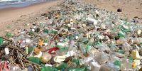 Plastic bottles and other floating debris line a beach south of Durban after a summer rainstorm. (Photo: Lisa Guastella)