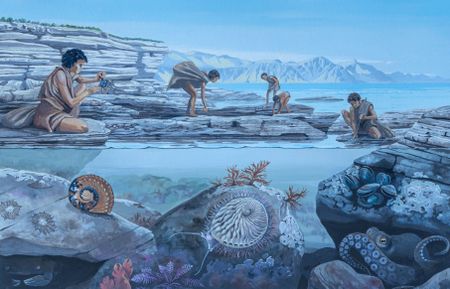 The great journey out of Africa may have begun at low tide 