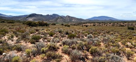 Greater Anysberg Conservation Initiative sees new habitat and environment protections come into play