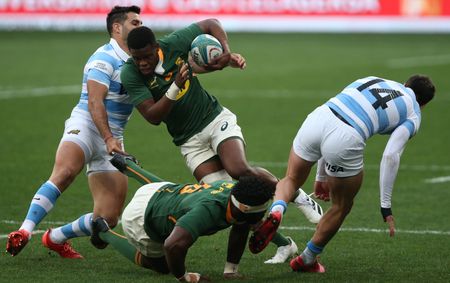Springbok young guns are in it for the long haul