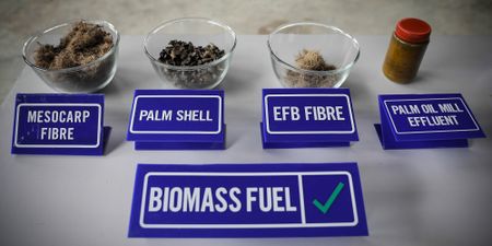 The bio-economy can create thousands of jobs and boost our supply chains – here’s how