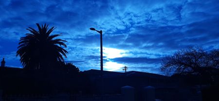 Silver linings appear despite the fear, anxiety and disorder