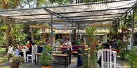 Paving over a sanctuary: Nairobi’s Pallet Café to be replaced by petrol station