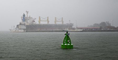 Richards Bay port grinds to halt over ‘environmental management issues’, coal exports unaffected