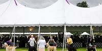 The judge inspects Afghan Hounds during the 145th Annual Westminster Kennel Club Dog show on the grounds of the Lyndhurst Estate, a historic mansion, in Tarrytown, New York, USA, 12 June 2021. This year's dog show was delayed from its normal time in February due to the coronavirus COVID-19 pandemic and is being held from 11 to 13 June 2021.  EPA-EFE/PETER FOLEY